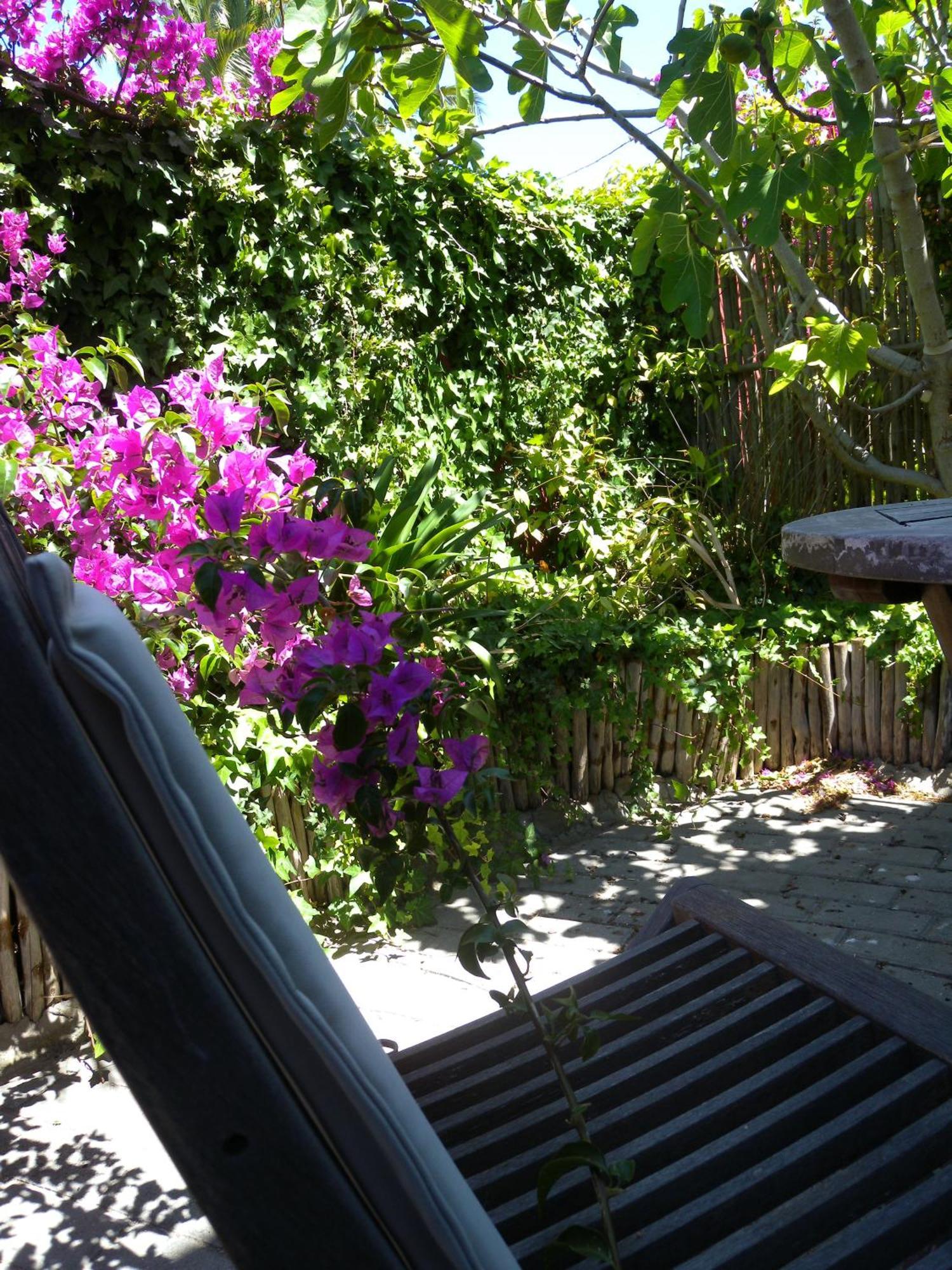 Capetown 4U Guesthouse Блубергстранд Екстериор снимка