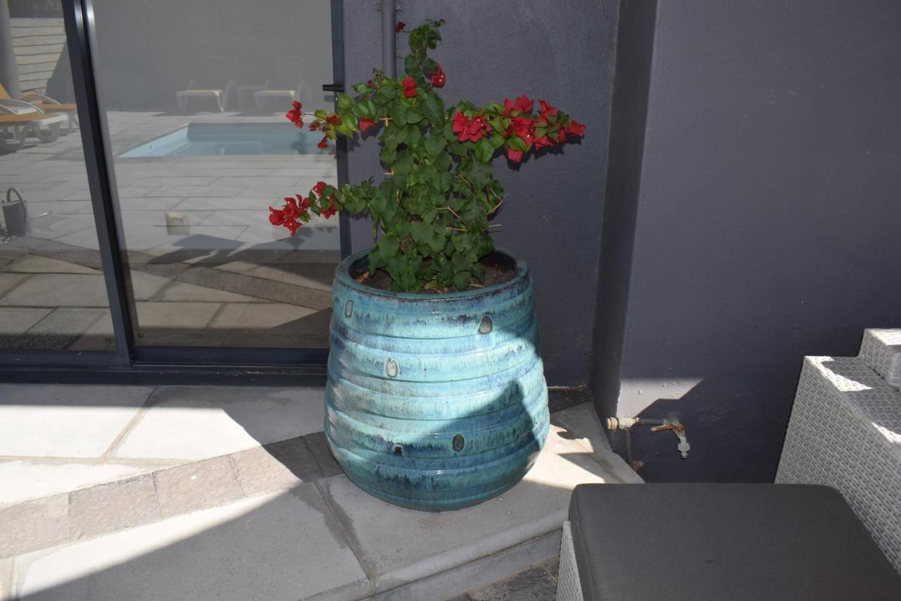 Capetown 4U Guesthouse Блубергстранд Екстериор снимка